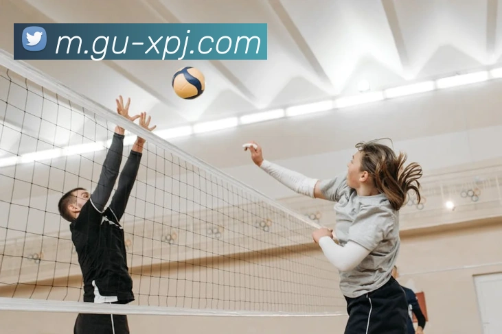 新葡京娱乐APP 高清赛事图